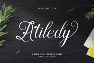 Atiledy Script: A Bold Typeface for Clear Campaigns