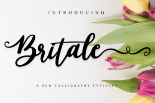 Britale Script: A Typeface for Memorable Brands