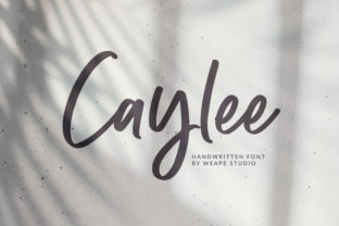 Caylee Script: A Modern Typeface for Editorial Design