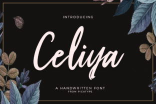 Celiya Script: A Modern Typeface for Digital Brands