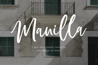 Manilla Script: A Modern Typeface for Branding