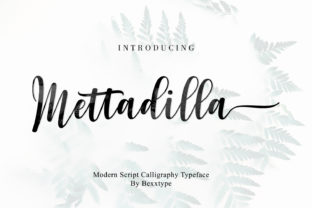 Mettadilla Script: A Modern Typeface for Editorial Design