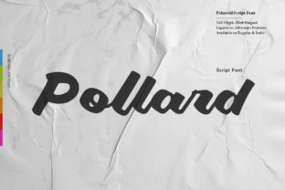 Pollard Script: A Bold Typeface for Modern Web Design