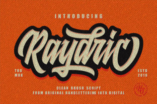 Raydric Script Shadow Outline Font for Web Design