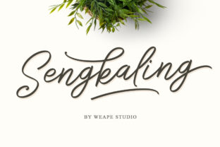 Sengkaling Script: A Designer’s Honest Review
